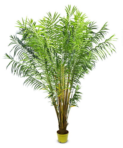 17141 (в уп.2шт.) - Дерево декоративное &quot;Пальма Фе [01064853] 17141 (в уп.2шт.) - Дерево декоративное "Пальма Феникс" с горшком 255см, полиэстер+дерево.