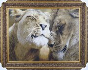 60*80 19 М/Р Картина гобелен [01107260]