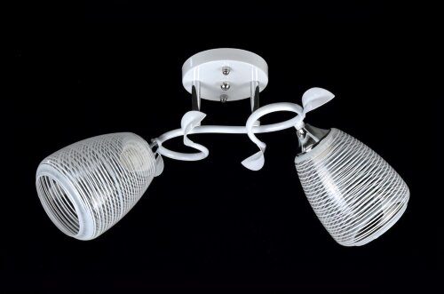 Д-W3047/2 WH+CR (10) светильник потолочный [01103106] Д-W3047/2 WH+CR (10) светильник потолочный