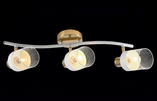 МС-DA5995/3 WH+FGD (6) светильник потолочный [01101383] МС-DA5995/3 WH+FGD (6) светильник потолочный