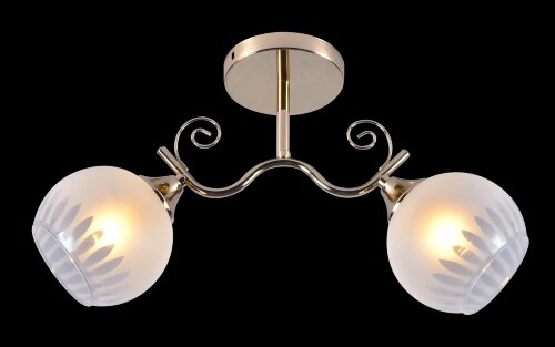 МС-DA5154A/2 FGD (10) светильник потолочный [01097160] МС-DA5154A/2 FGD (10) светильник потолочный