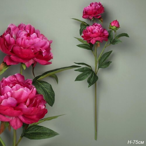 746746 (в уп.24шт.) - Цветок искусственный Пион ма [01111697] 746746 (в уп.24шт.) - Цветок искусственный Пион малиновый H=76см. / RF-6070 /, материал: пластик.