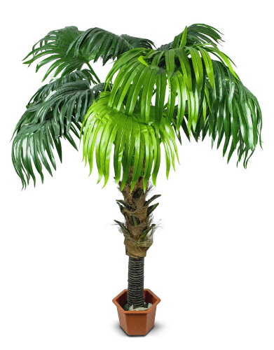 14276 (в уп.2шт.) - Дерево декоративное &quot;Веерная П [01064846] 14276 (в уп.2шт.) - Дерево декоративное "Веерная Пальма" с горшком 145см, материал: полиэстер+дерево.
