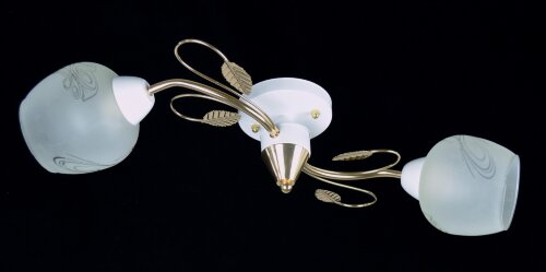 С-K294/2 FG+WT (6) АКЦИЯ светильник потолочный [01095883] С-K294/2 FG+WT (6) АКЦИЯ светильник потолочный