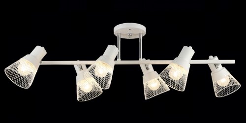 ВР-N4775/6 WT+CR (4) светильник потолочный [01100560] ВР-N4775/6 WT+CR (4) светильник потолочный