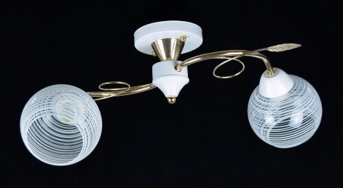 С-K298/2 FGD+WT (6) АКЦИЯ светильник потолочный [01095856] С-K298/2 FGD+WT (6) АКЦИЯ светильник потолочный