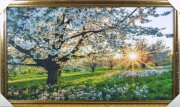 60*100 097 Н - Репродукция картины [01103042]
