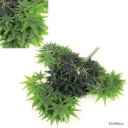 704086 (в уп.60/15шт.) - Искусственные листья 12шт [01102637]