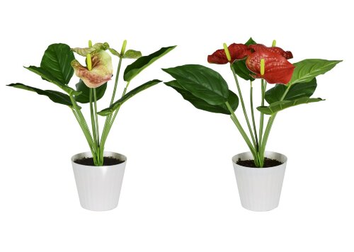 Цветочная композиция Антуриум, размер: высота 40 с [01099479] Цветочная композиция Антуриум, размер: высота 40 см, ширина 35 см, материал: пластик,  РУЧНАЯ РАБОТА