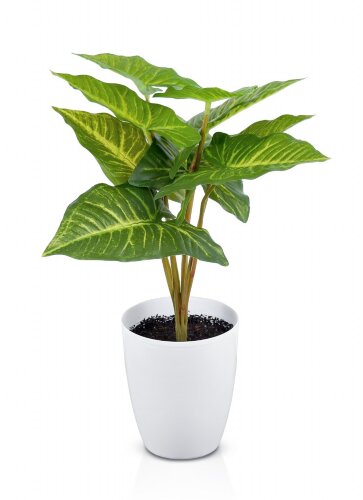 Цветочная композиция Сингониум №2, размер: высота [01109130] Цветочная композиция Сингониум №2, размер: высота 50 см, ширина 30 см, материал: пластик,  РУЧНАЯ РАБОТА