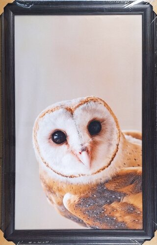 60*100 холст в багете H-1150 [01106249] 60*100 холст в багете H-1150