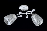 Д-W3047/2 WH+CR (10) светильник потолочный [01103106]
