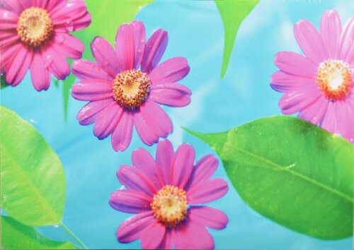 50*70 8 канвас [01098346] 50*70 8 канвас