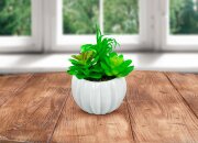 001004 - Цветочная композиция H=11см., без индивид [01108239]