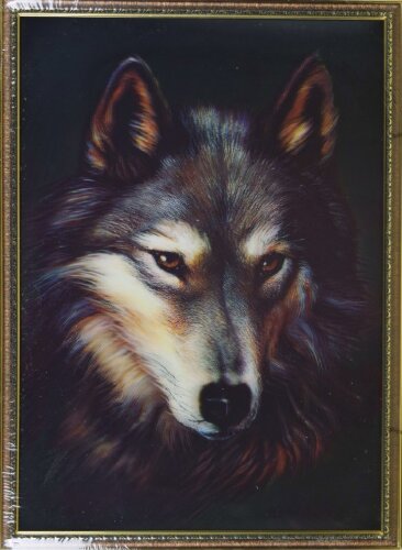 50х70 20 - Картина 5D [01098937] 50х70 20 - Картина 5D