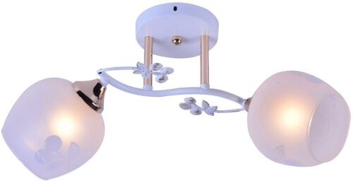 МС-XA1077B/2 WH+FGD (10) светильник потолочный [01091111] МС-XA1077B/2 WH+FGD (10) светильник потолочный