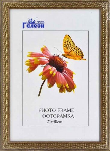 141612 (в уп.10шт.) - Фоторамка 21x30см. /1905C-19 [01069692] 141612 (в уп.10шт.) - Фоторамка 21x30см. /1905C-194X/, материал: пластик, стекло, двп.