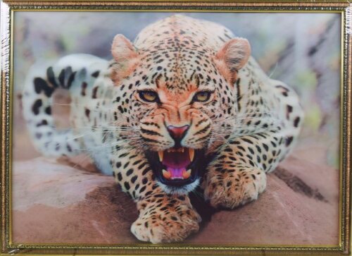 50х70 19 - Картина 5D [01098936] 50х70 19 - Картина 5D