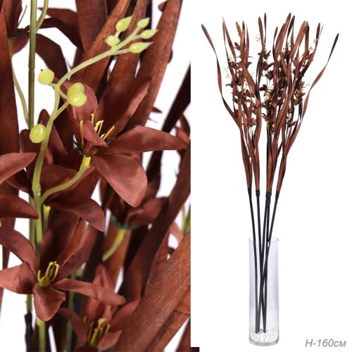 729158 (в уп.30шт.) - Сухоцвет, набор 5шт. 155см, [01109414] 729158 (в уп.30шт.) - Сухоцвет, набор 5шт. 155см, коричневый / 22-13 /.