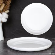 735073 (в уп.12шт.) - Тарелка 254мм. Вертикаль, на [01108467]