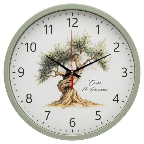 3027-038 (10) Часы настенные круг d=30см, корпус о [01110947] 3027-038 (10) Часы настенные круг d=30см, корпус оливковый "Оливковое дерево", Рубин