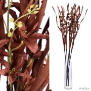 729158 (в уп.30шт.) - Сухоцвет, набор 5шт. 155см, [01109414]