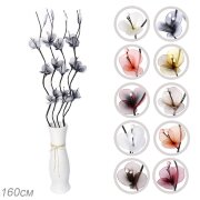 620873 (в уп.100наб.) - Сухоцвет, набор 5 штук 160 [01110976]