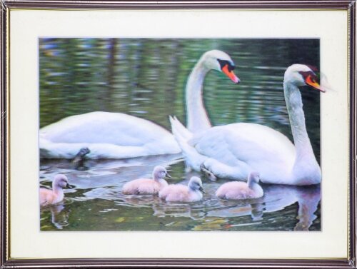 30х40 43 - Картина 5D [01111202] 30х40 43 - Картина 5D