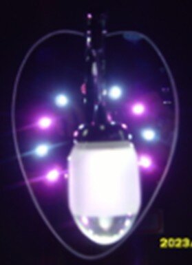 НР7119/1 (3) АКЦИЯ светильник настенный [01066092] НР7119/1 (3) АКЦИЯ светильник настенный