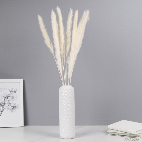 731727 (в уп.400шт.) - Сухоцвет, набор 10шт. 75см [01110456] 731727 (в уп.400шт.) - Сухоцвет, набор 10шт. 75см белый Картадерия / GT-157-2 /