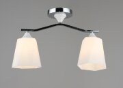 ВР-C1701/2 CH+WT (10) светильник потолочный [01101624]