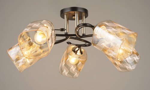 ВР-N4076/5 BK+FGD (4) светильник потолочный [01098752] ВР-N4076/5 BK+FGD (4) светильник потолочный