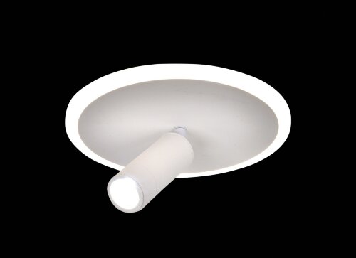 Х20649/1 WT LED24W 3000-4000-6000K Dimmer (5) свет [01104263] Х20649/1 WT LED24W 3000-4000-6000K Dimmer (5) светильник потолочный