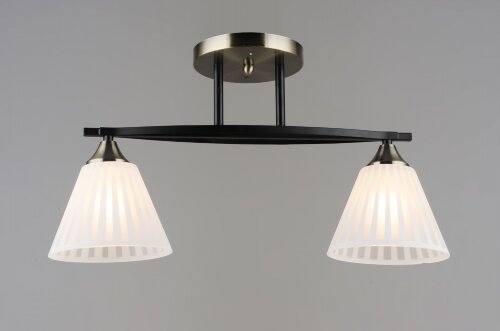 ВР-N6588/2 BK+AB L515*W155*H270мм (10) светильник [01109762] ВР-N6588/2 BK+AB L515*W155*H270мм (10) светильник потолочный