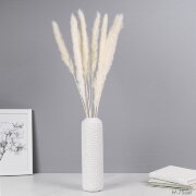 731727 (в уп.400шт.) - Сухоцвет, набор 10шт. 75см [01110456]