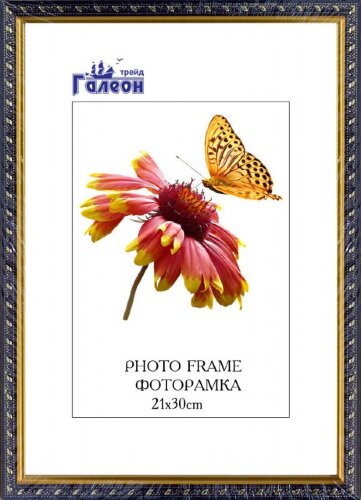 141369 (в уп.10шт.) - Фоторамка 21x30см. /1503C-01 [01095180] 141369 (в уп.10шт.) - Фоторамка 21x30см. /1503C-014D1/, материал: пластик, стекло, двп.