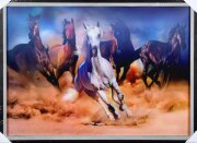 50х70 51 - Картина 5D [01108519]