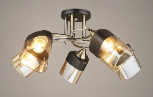 ВР-N4017/5 BK+AB (4) светильник потолочный [01098733] ВР-N4017/5 BK+AB (4) светильник потолочный