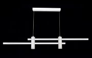 Х-D20788/2 WT LED20W 3000-4000-6000K Dimmer (1) св [01104196]