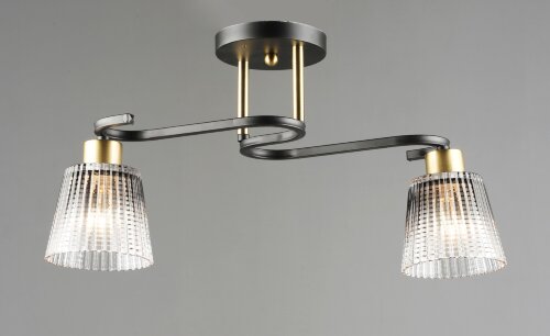 ВР-N6926/2 BK+COP L410*W330*H250 мм (10) светильни [01110159] ВР-N6926/2 BK+COP L410*W330*H250 мм (10) светильник потолочный