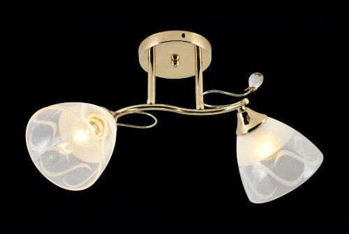 МС-XA1378/2 FGD (10) светильник потолочный [01102768] МС-XA1378/2 FGD (10) светильник потолочный