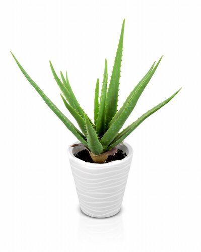 Алоэ, размер: высота 50 см, ширина 35 см., материа [01109126] Алоэ, размер: высота 50 см, ширина 35 см., материал: пластик. РУЧНАЯ РАБОТА