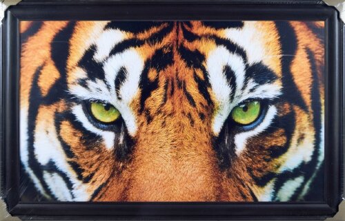 60*100 холст в багете H-1308 [01108372] 60*100 холст в багете H-1308