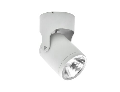 Х20888-80 WT LED8W (20) светильник потолочный [01104233] Х20888-80 WT LED8W (20) светильник потолочный