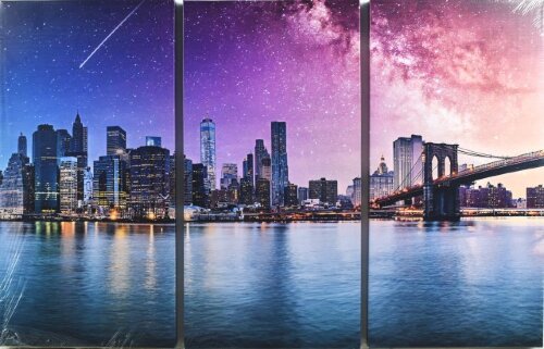 65*99/3 D-10082 - Модульная картина [01103258] 65*99/3 D-10082 - Модульная картина