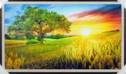 100*60 932 - Репродукция картины [01108533]