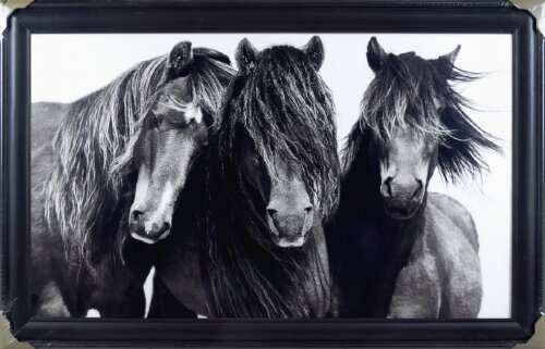 60*100 холст в багете H-1330 [01108368] 60*100 холст в багете H-1330