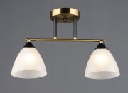 ВР-A4410/2 COP+BK L430*W140*H250мм (10) светильник [01109584]