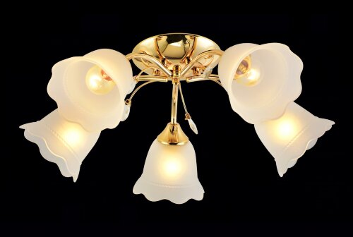 МС-XA1346B/5 FGD (4) светильник потолочный [01102880] МС-XA1346B/5 FGD (4) светильник потолочный