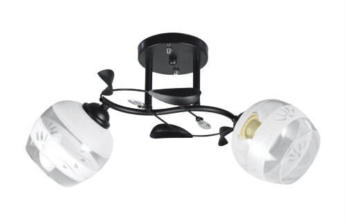 ДС7307/2 BLK (6) светильник потолочный [01099975] ДС7307/2 BLK (6) светильник потолочный